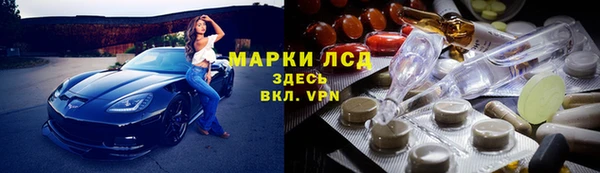 гидра Аркадак