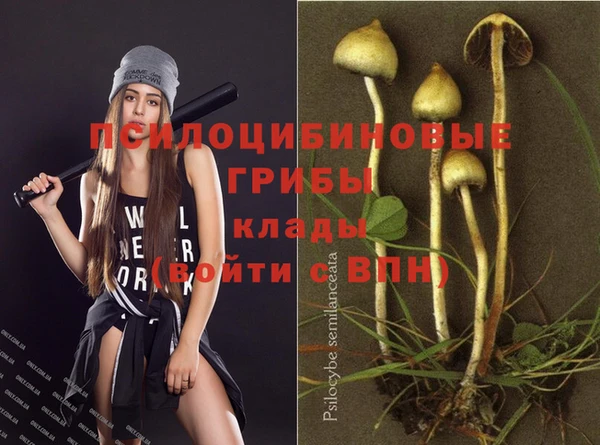 гидра Аркадак