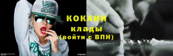 мдпв Богородицк