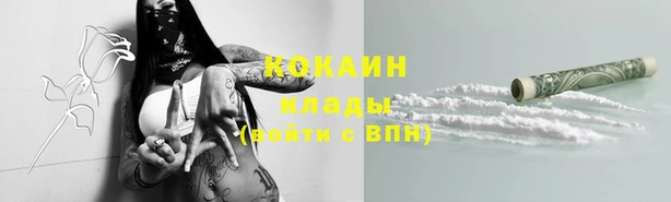 гидра Аркадак