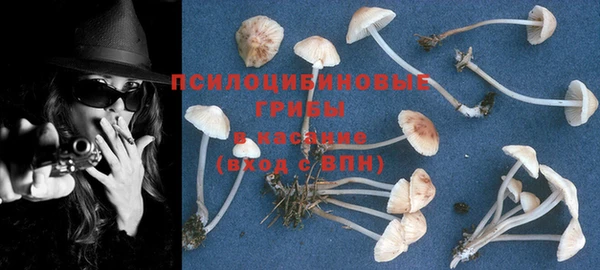 дживик Арсеньев