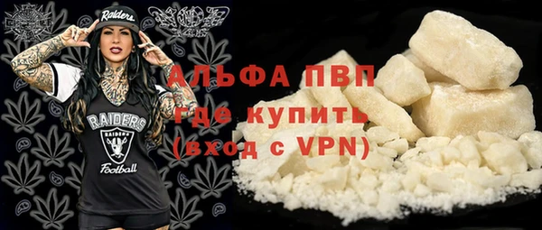 дживик Арсеньев
