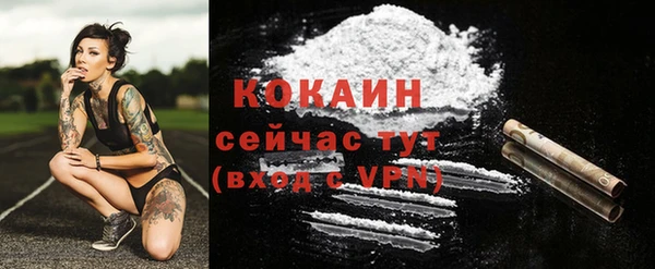дживик Арсеньев
