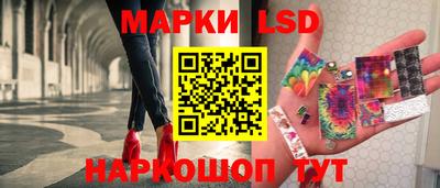 гашик Новодвинск