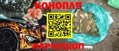 гашик Новодвинск