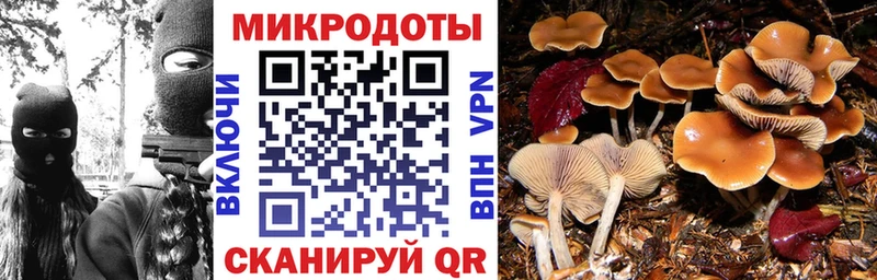 Галлюциногенные грибы мицелий  Нефтекамск 
